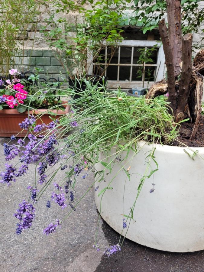 Secret Garden Apartment Zagreb Exterior foto